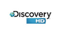 Discovery