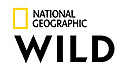 Nat Geo WILD